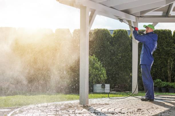 Animal Enclosure Cleaning in Lavalette, WV