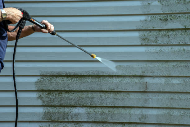 Professional Pressure Washing in Lavalette, WV